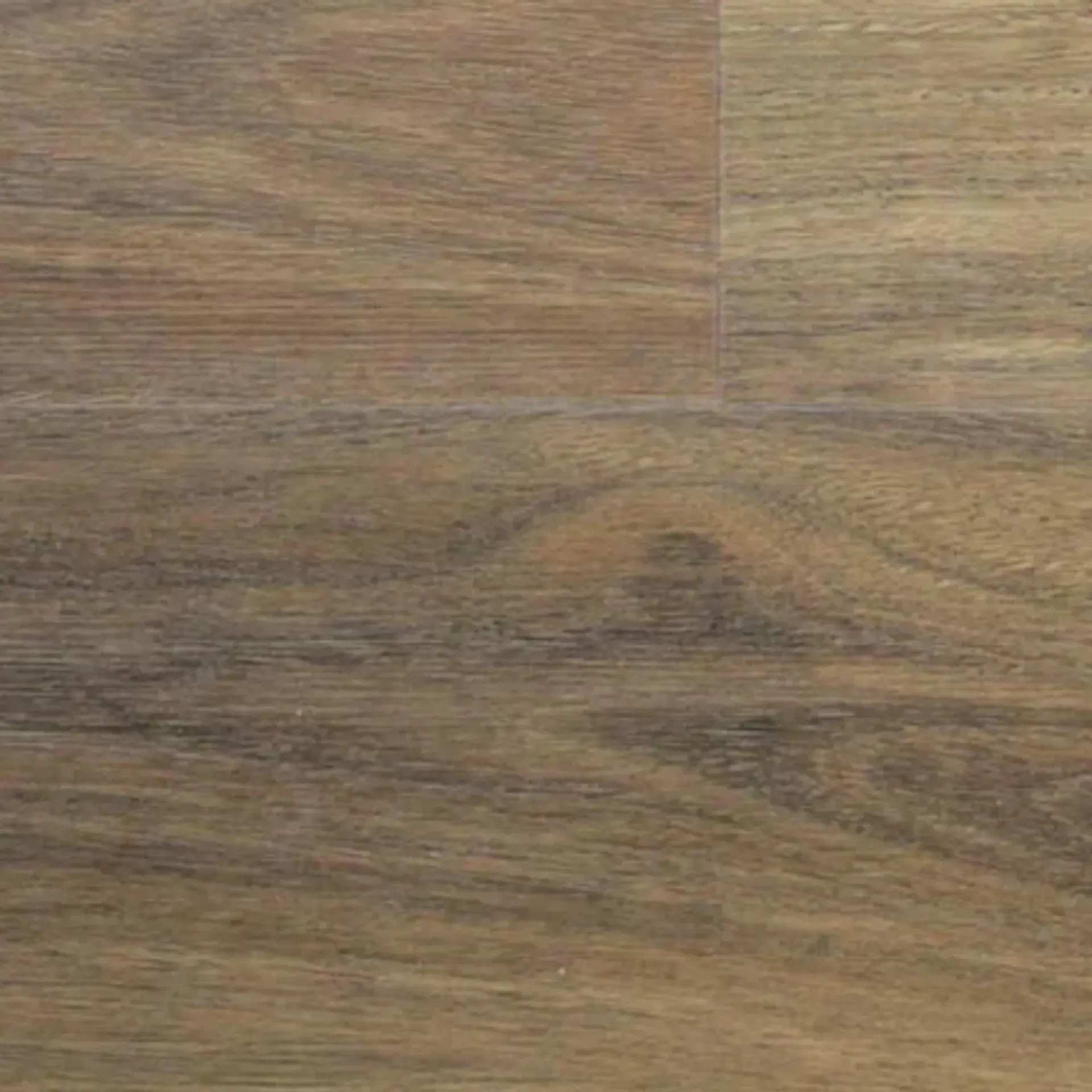 Byron Spotted Gum FH