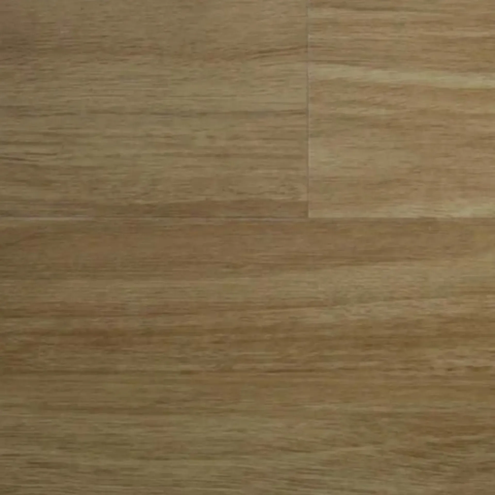 Currumbin Blackbutt FH