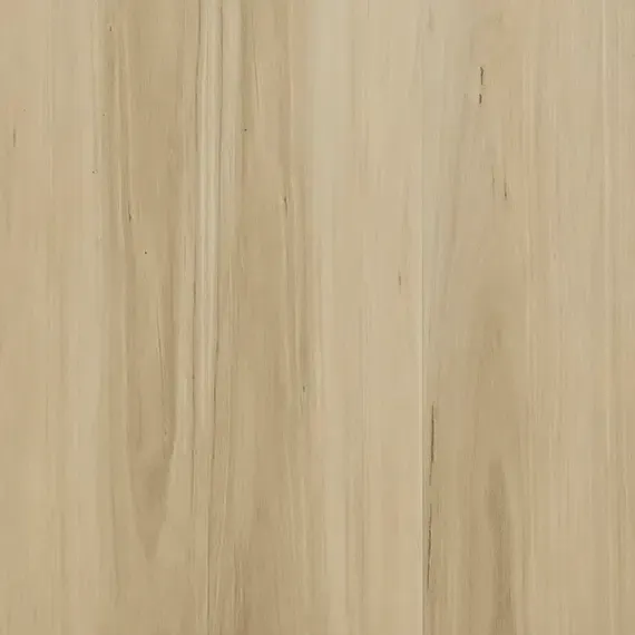 Burgundy Blackbutt 20