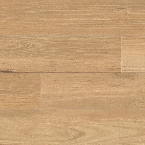 Coastal Blackbutt 977