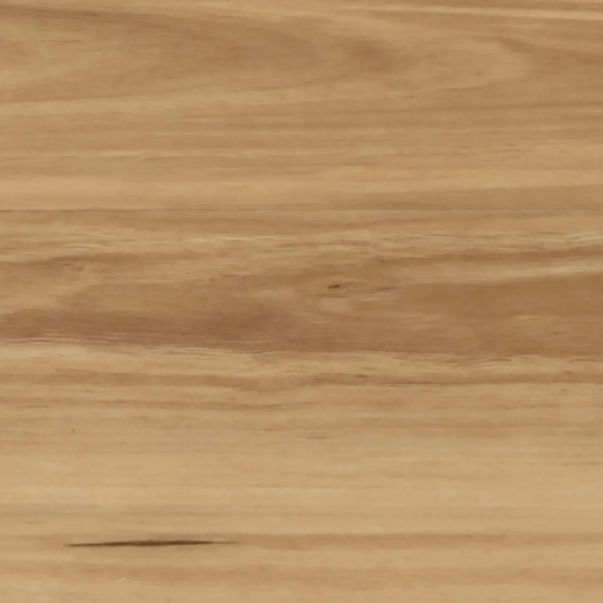 New England Blackbutt SR