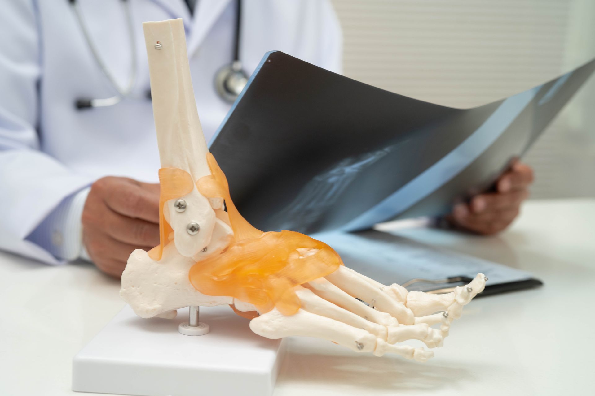 Doctor examining foot X-ray next to a foot anatomy model.
