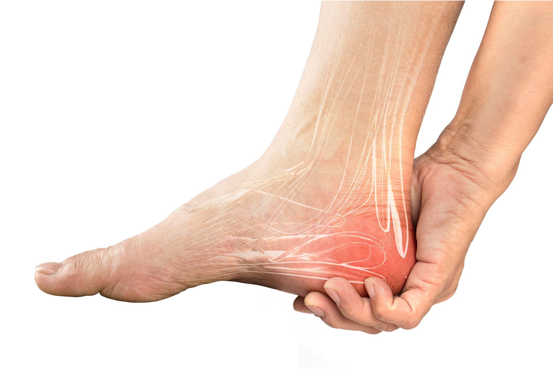 Foot and hand holding heel, red highlighting pain in the heel area.