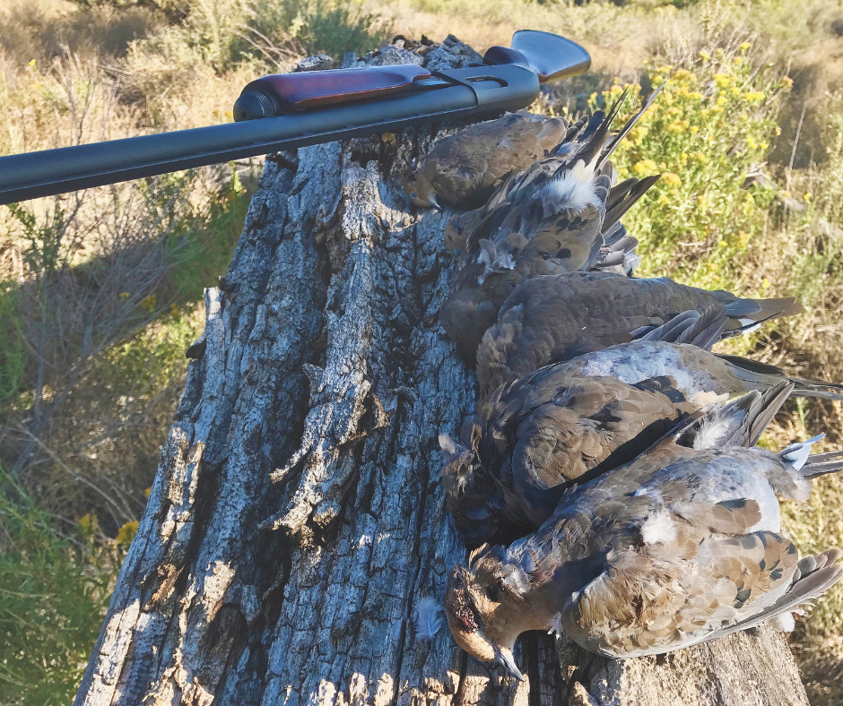 The Art of Dove Hunting: A Timeless Pursuit