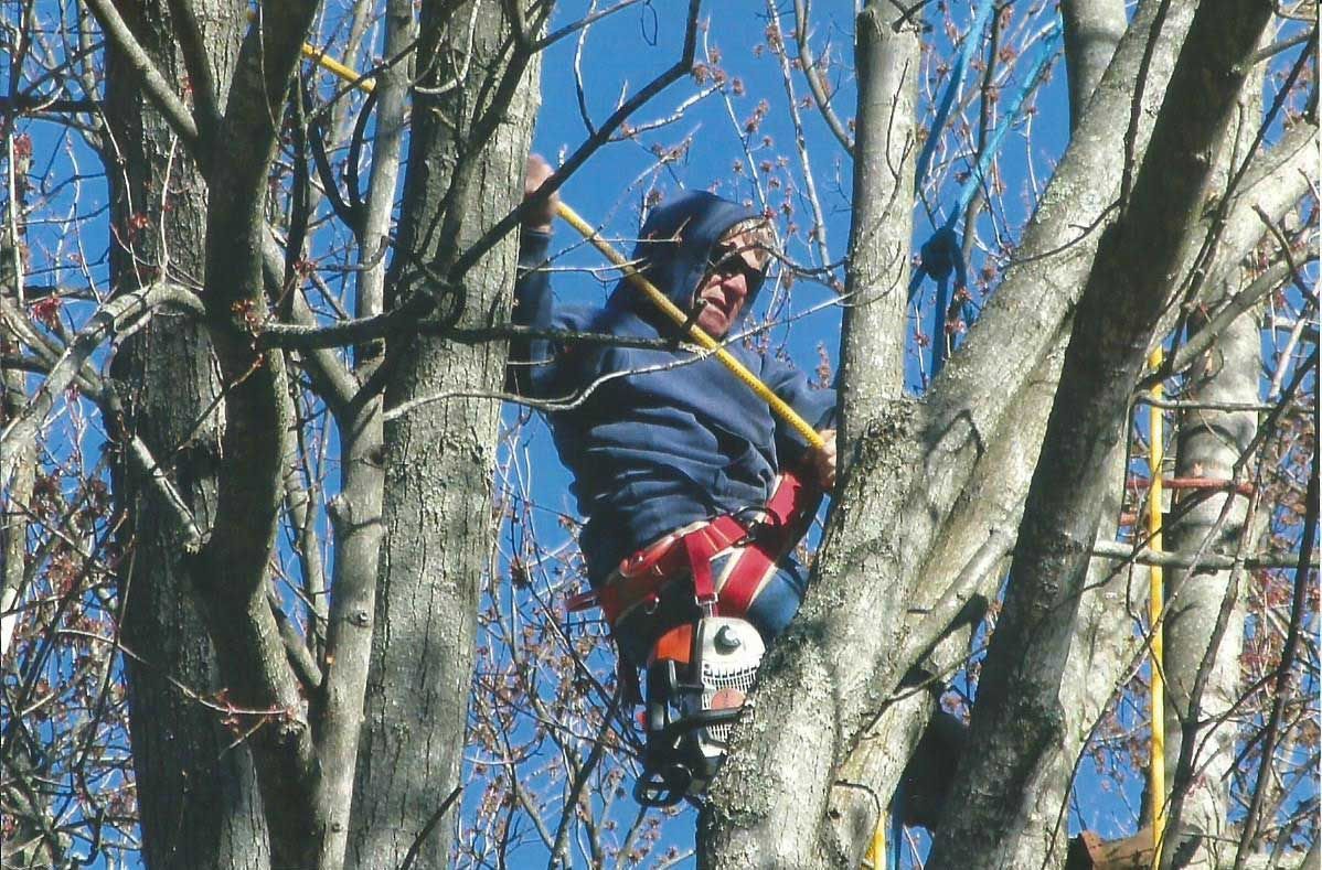 Tree Expert — West Jefferson, OH — Peterman Bros Tree