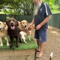 A Man With A Beard Is Standing Next To A Group Of Dogs — Yeppoon Boarding Kennels & Cattery In Farnborough, QLD