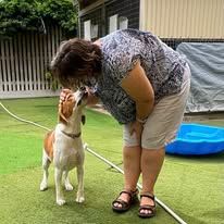 A Woman Is Kissing A Dog On The Nose In A Yard — Yeppoon Boarding Kennels & Cattery In Farnborough, QLD