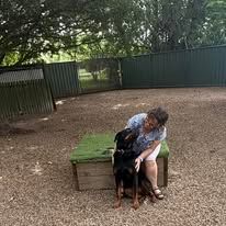 A Woman Is Sitting On A Bench With Two Dogs — Yeppoon Boarding Kennels & Cattery In Farnborough, QLD