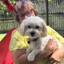A Woman Is Holding A Small White Dog In Her Arms — Yeppoon Boarding Kennels & Cattery In Farnborough, QLD