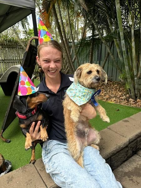 A Woman Is Holding Two Dogs Wearing Party Hats — Yeppoon Boarding Kennels & Cattery In Farnborough, QLD
