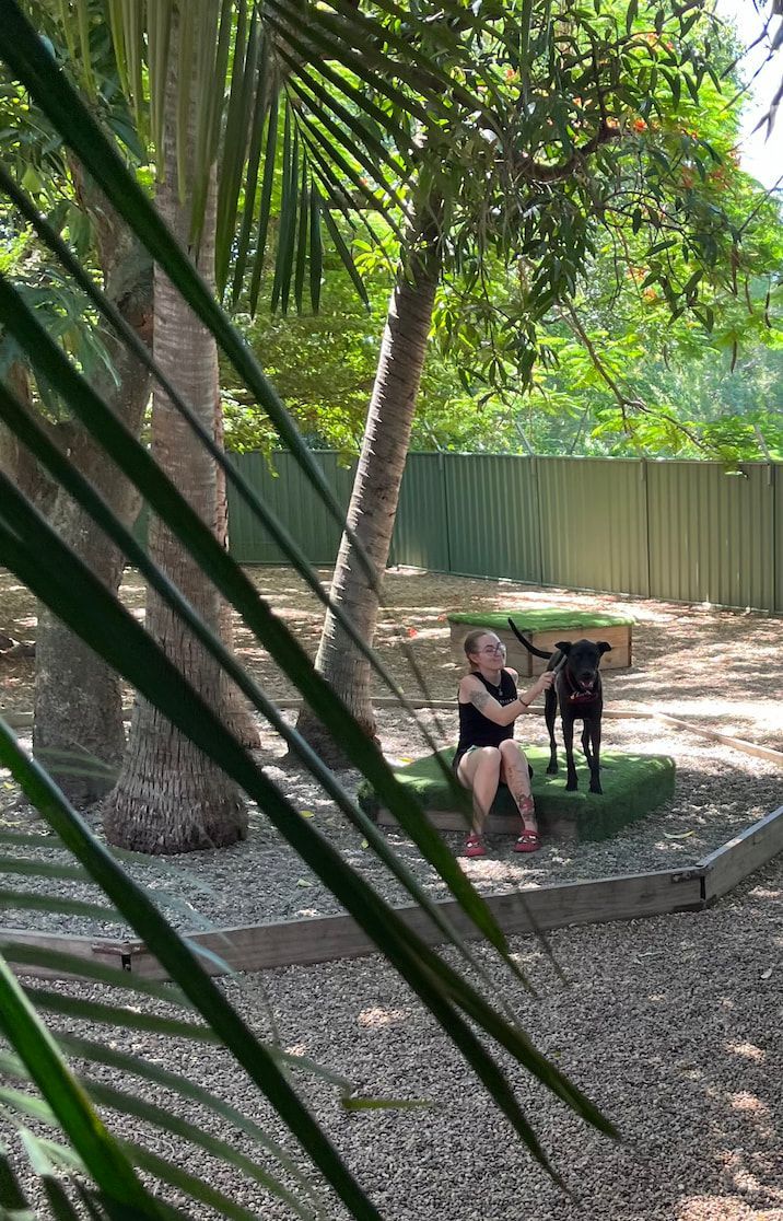 A Woman Is Sitting On A Bench With A Dog In A Park — Yeppoon Boarding Kennels & Cattery In Farnborough, QLD