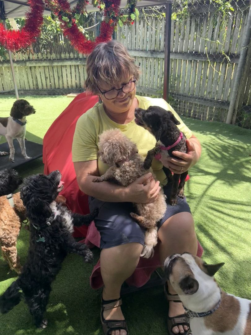 A Woman Is Holding A Puppy While Sitting On The Grass With Other Dogs — Yeppoon Boarding Kennels & Cattery In Farnborough, QLD