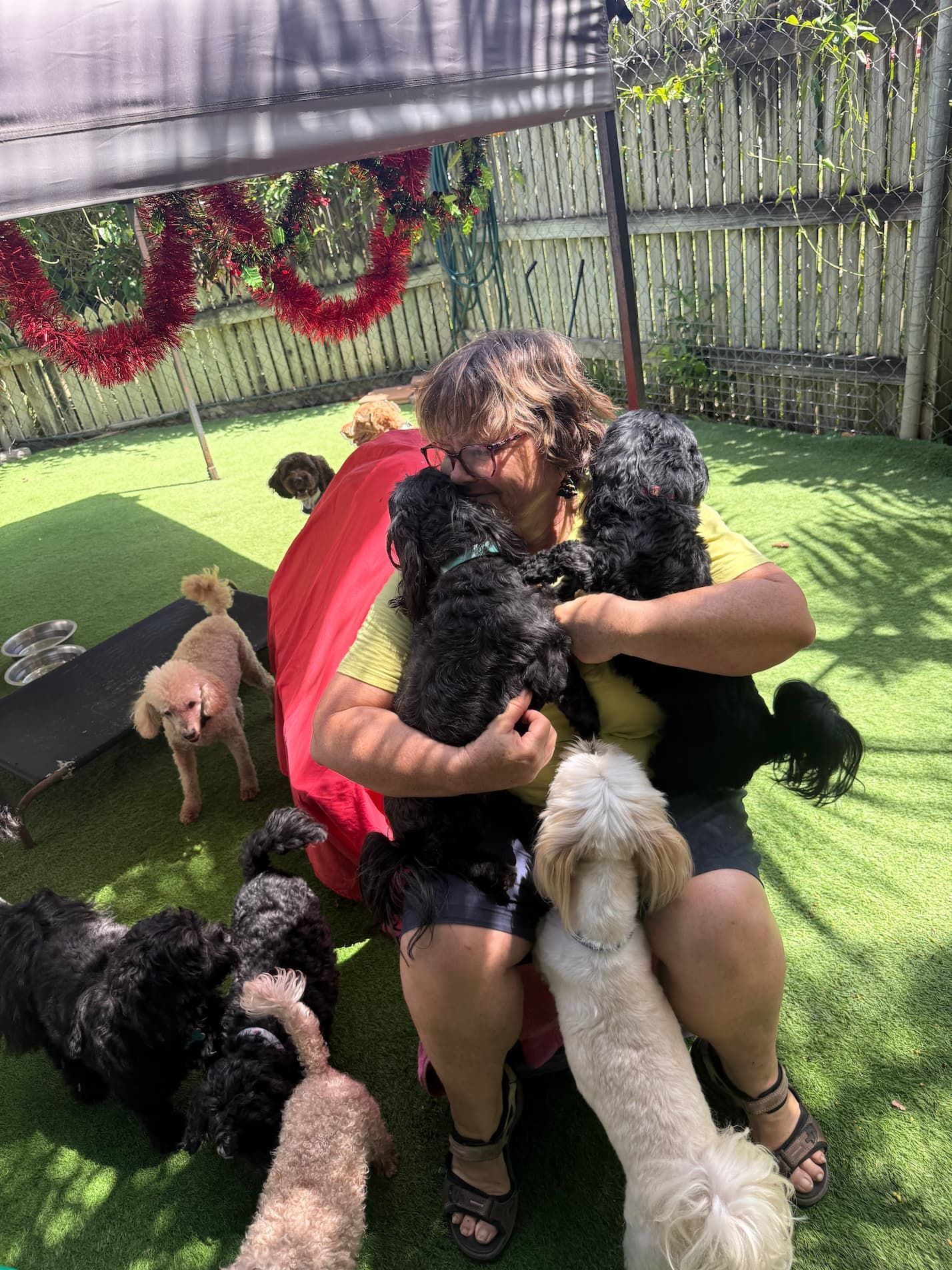 A Woman Is Sitting On The Grass With A Bunch Of Dogs — Yeppoon Boarding Kennels & Cattery In Farnborough, QLD