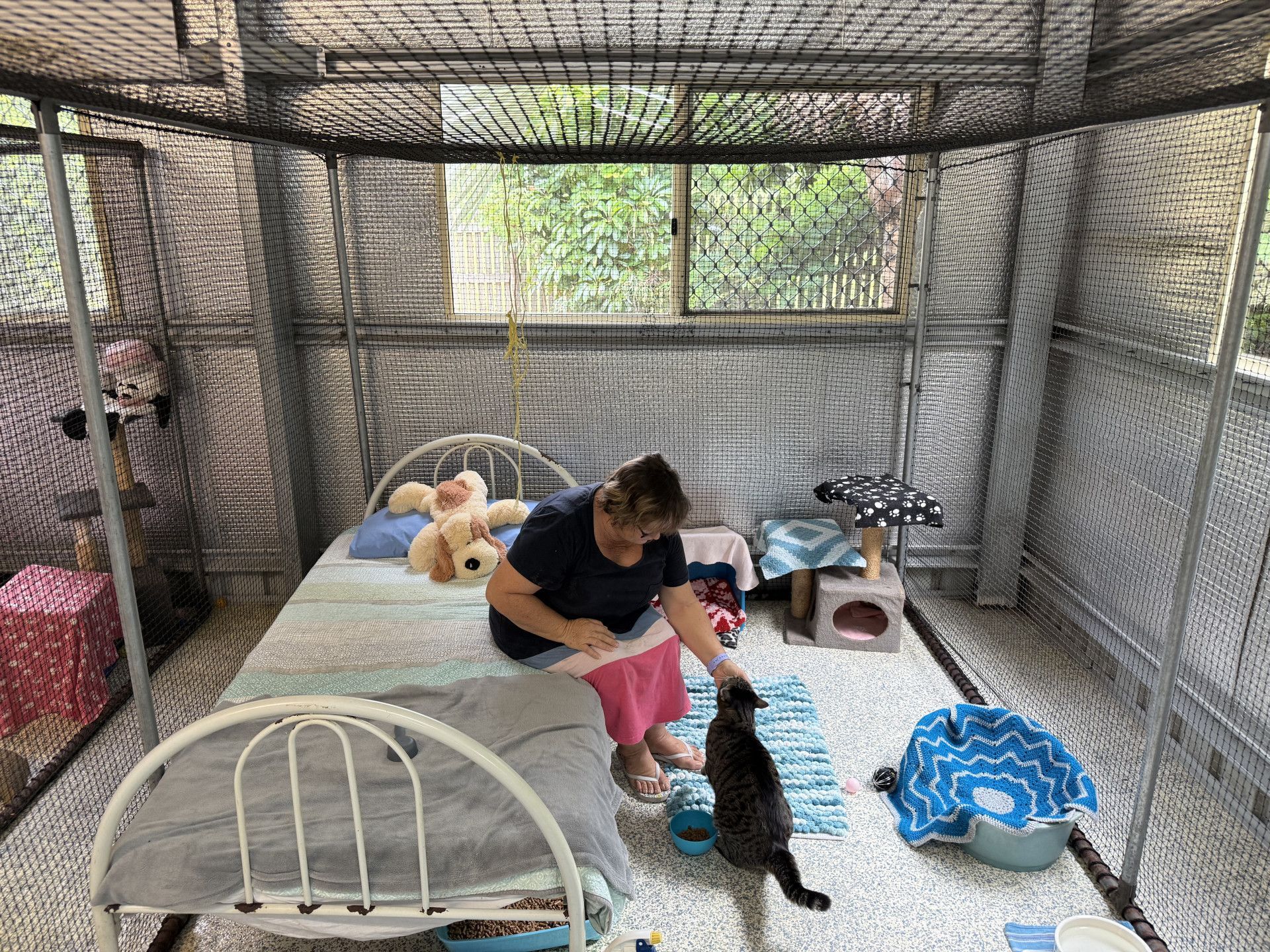A Woman Is Sitting On A Bed With Two Cats In A Room — Yeppoon Boarding Kennels & Cattery In Farnborough, QLD