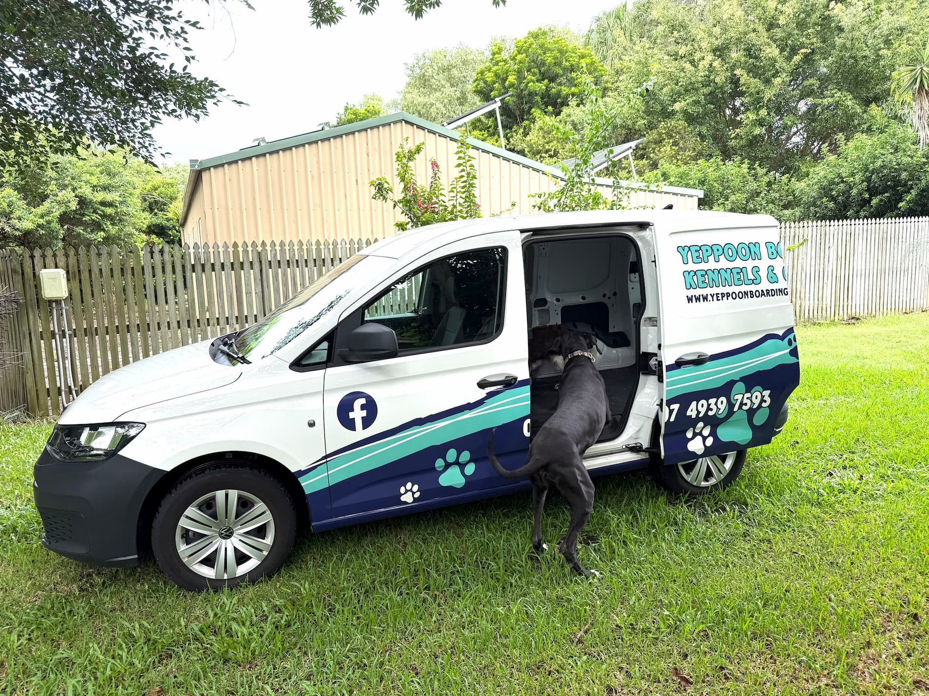 A Dog Is Standing Next To A Van In A Grassy Field — Yeppoon Boarding Kennels & Cattery In Farnborough, QLD