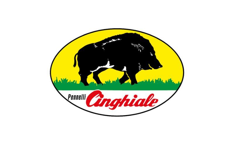 Pennelli Cinghiale
