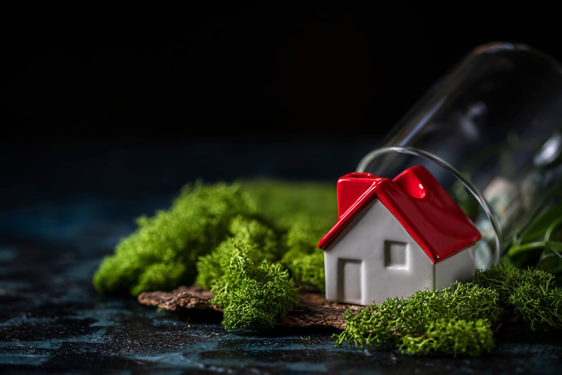 Giardino chiavi in mano