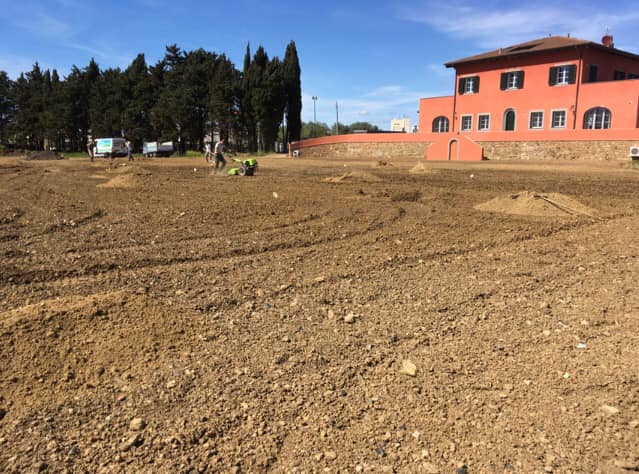 Interventi di giardinaggio