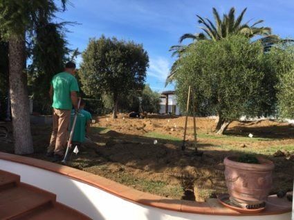 Interventi di giardinaggio