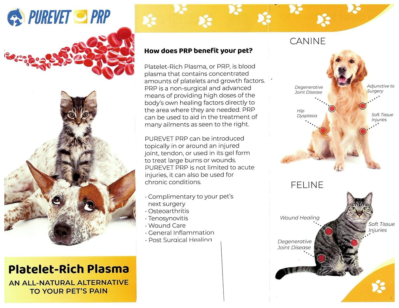 vet information Albuquerque, NM Good Shepherd Animal Clinic