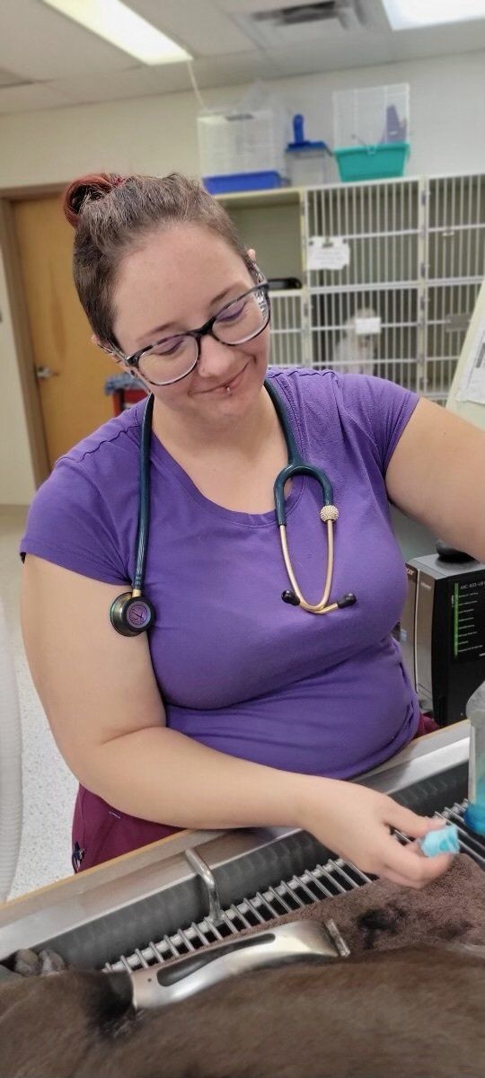 veterinarian Albuquerque, NM Good Shepherd Animal Clinic