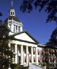 White domed building with columns, blue sky peeking through trees.