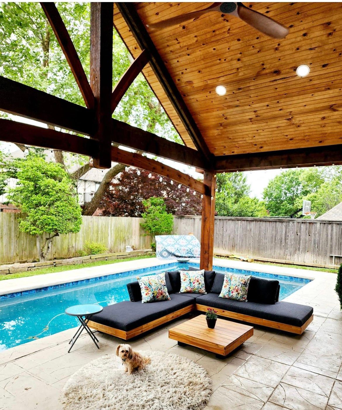 A dog is sitting on a patio next to a swimming pool
