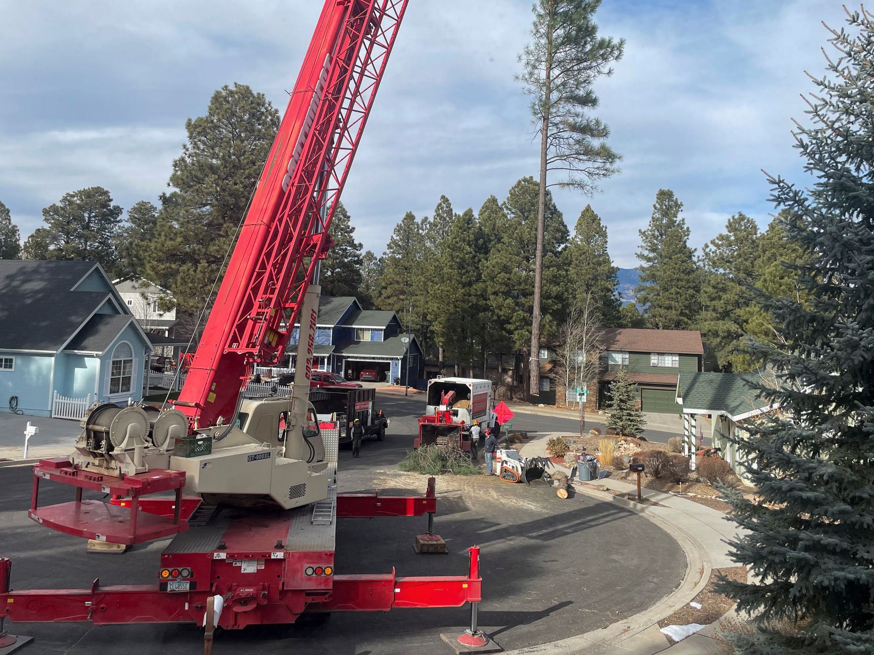 Crane lifting a tree beside stone buildings under a clear blue sky