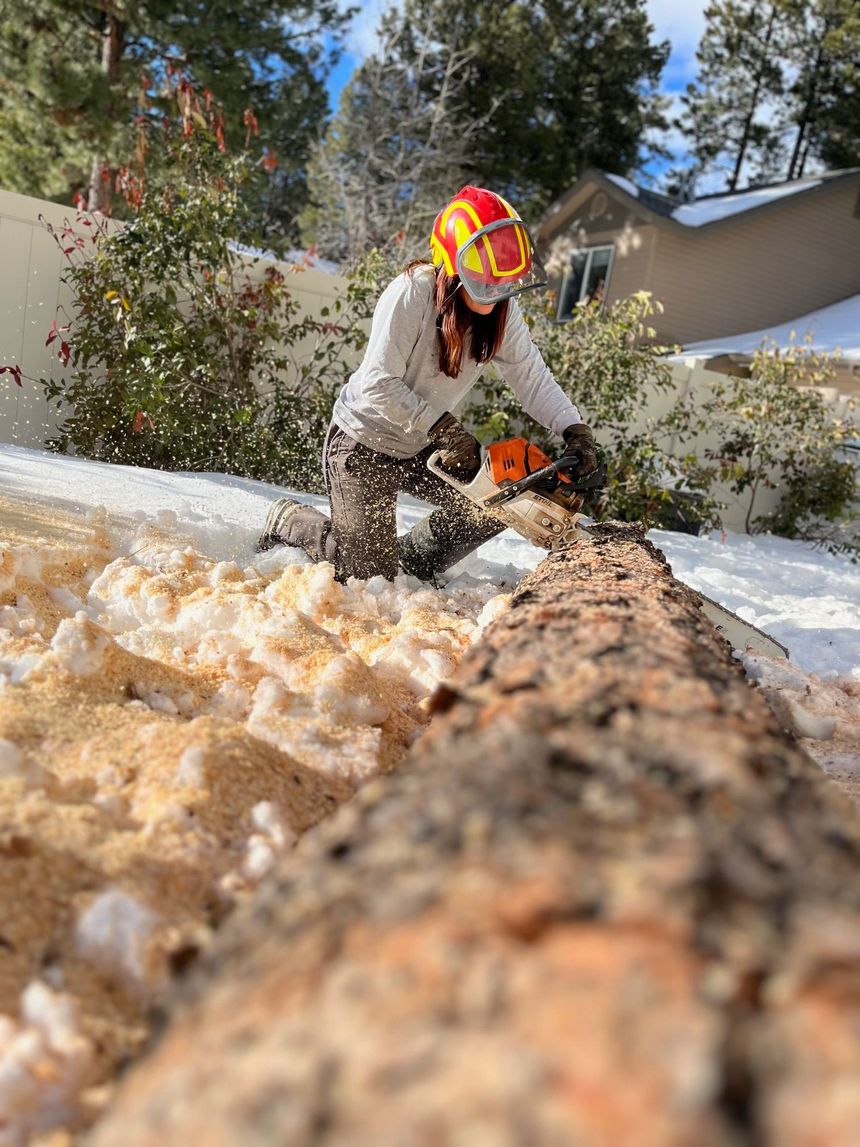 Person using an orange chainsaw to cut a tree trunk in a leafy yard