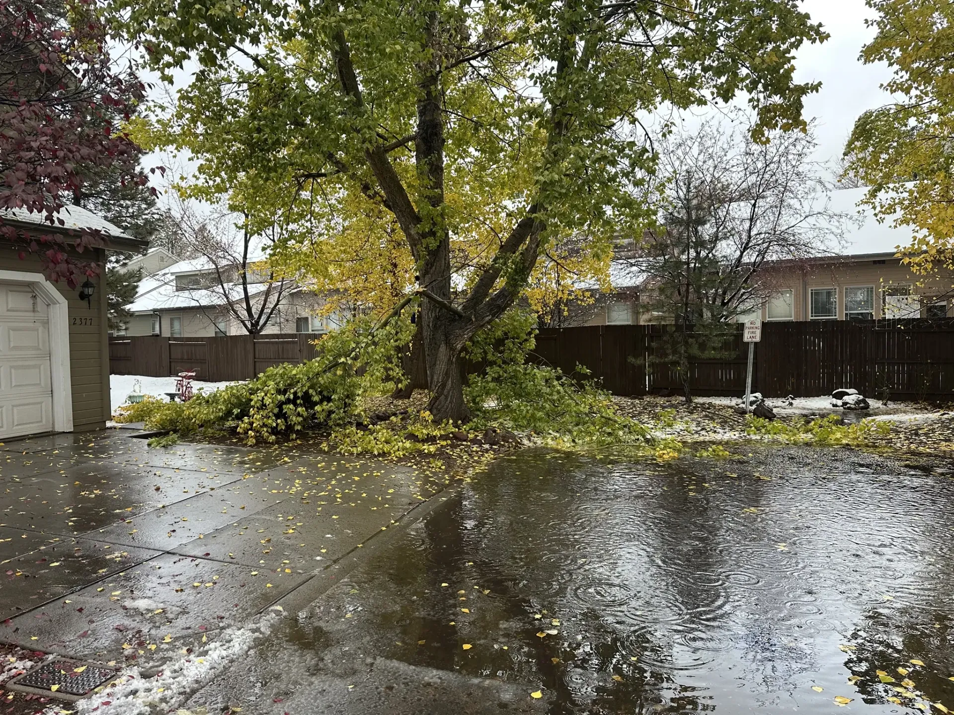 Worker in orange shirt and green hard hat cutting fallen branches with a chainsaw in a yard