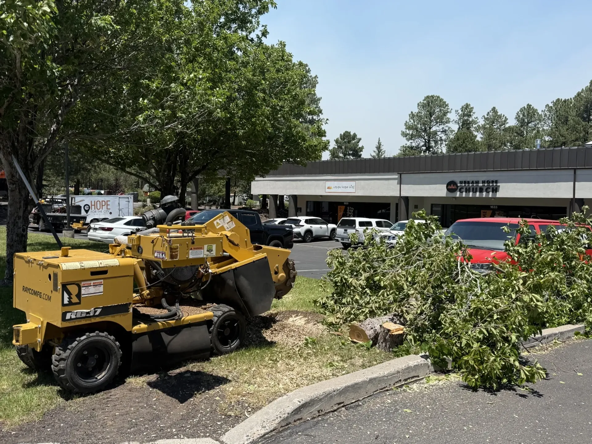 A person uses a chainsaw to cut wood, with sawdust flying in a close-up outdoor scene.