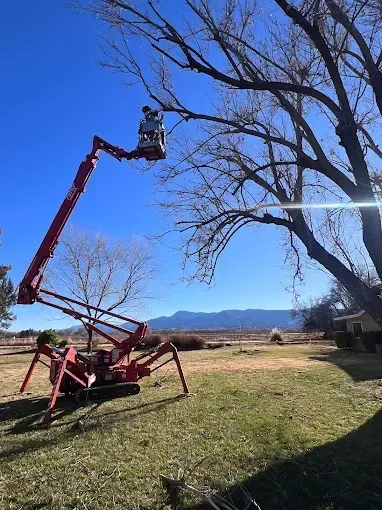 Person using a chainsaw to cut a large tree stump beside a water-filled ditch.