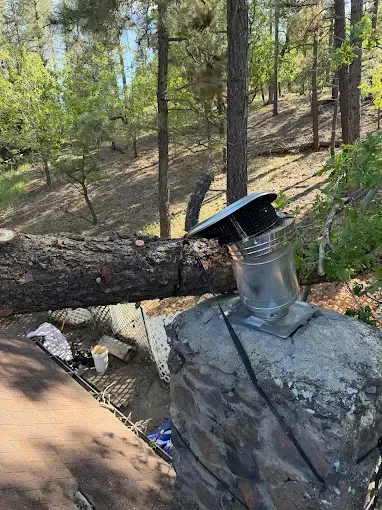 Metal chimney vent on a sloped roof in a wooded area, with a fallen tree trunk nearby.