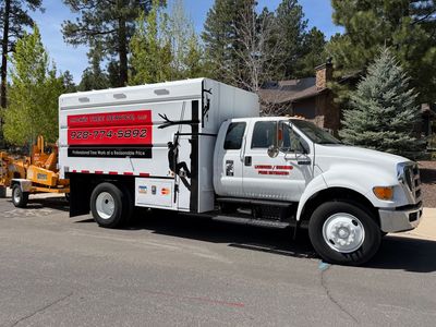 Tree trimming crew with bucket truck and cones blocking a street, with a parked van and truck nearby