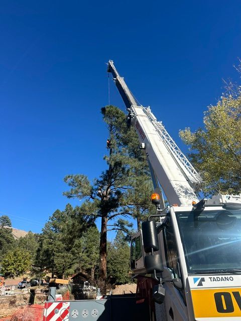 Arborist in blue helmet and neon jacket trimming a tree beside a building