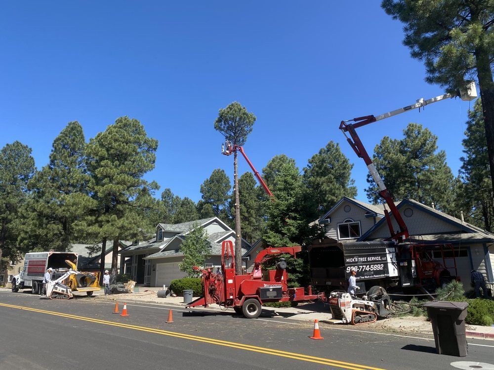 Tree trimming crew with cherry pickers and cones working along a residential street under a blue sky