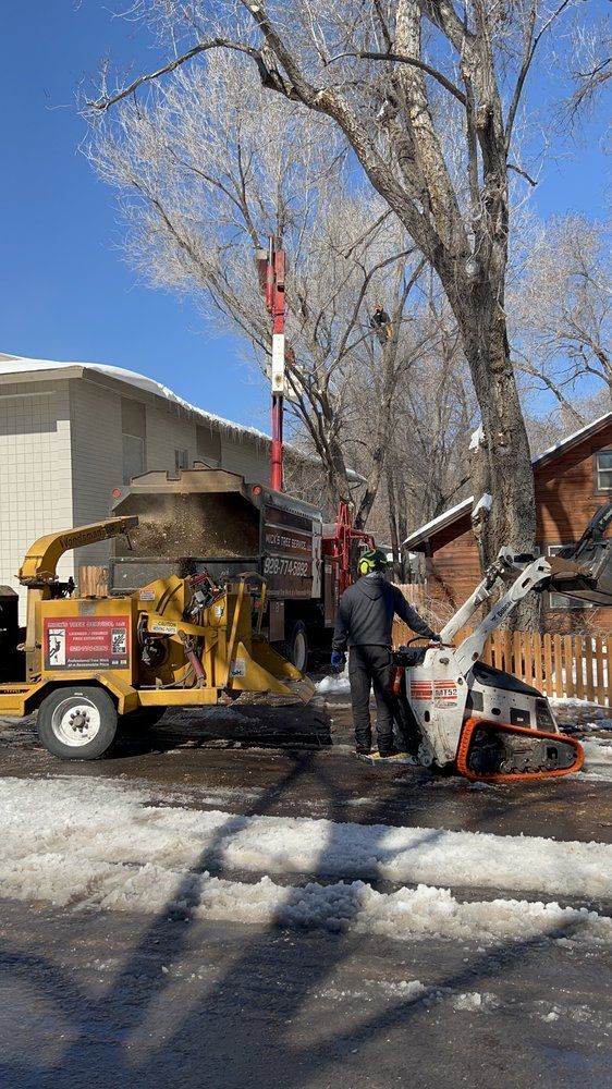 Tree service crew using a crane to remove a fallen tree in a snowy residential yard