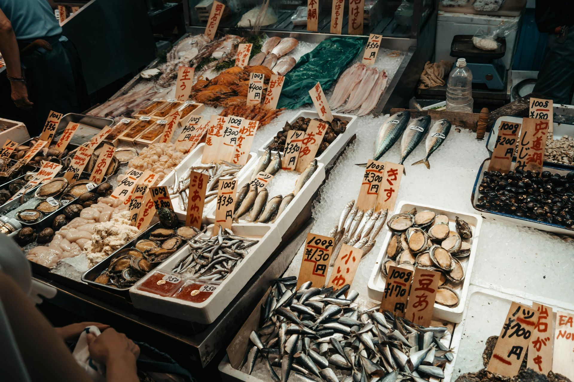 Seafood
