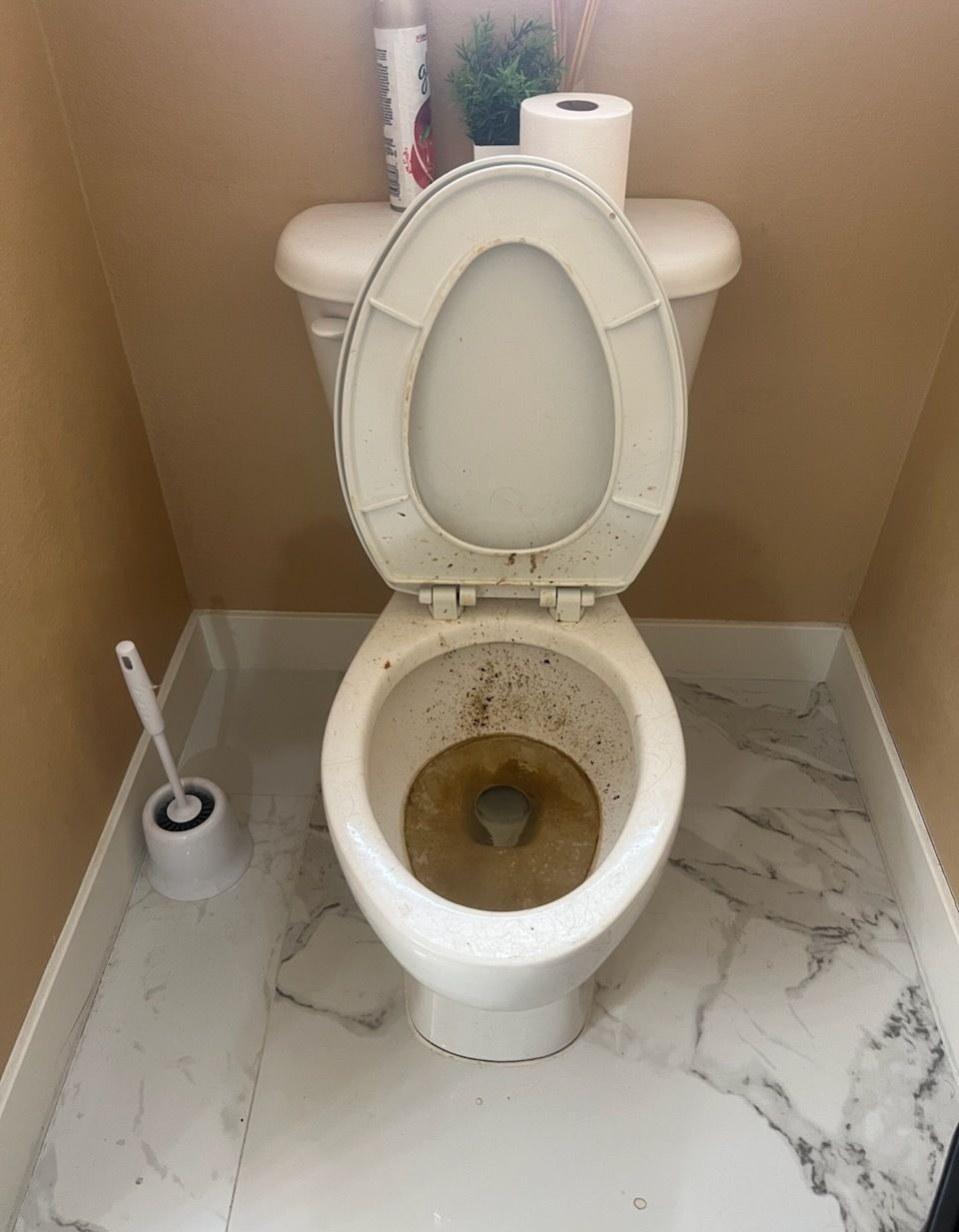 Toilet with the lid up, showing dirty bowl, toilet brush on the left, and a roll of toilet paper on top.