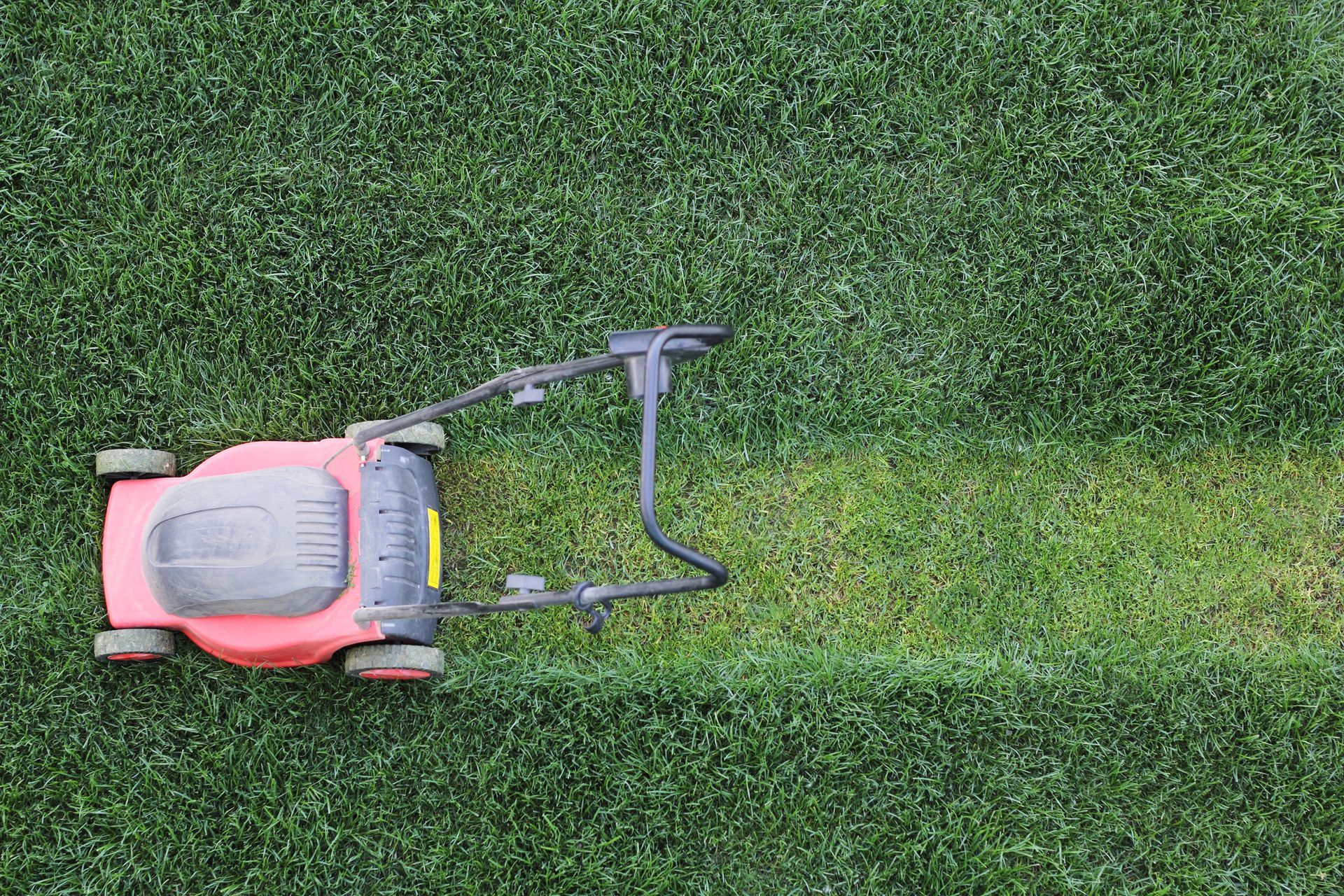 Red lawnmower cutting green grass with visible contrast between mowed and unmowed lawn sections.