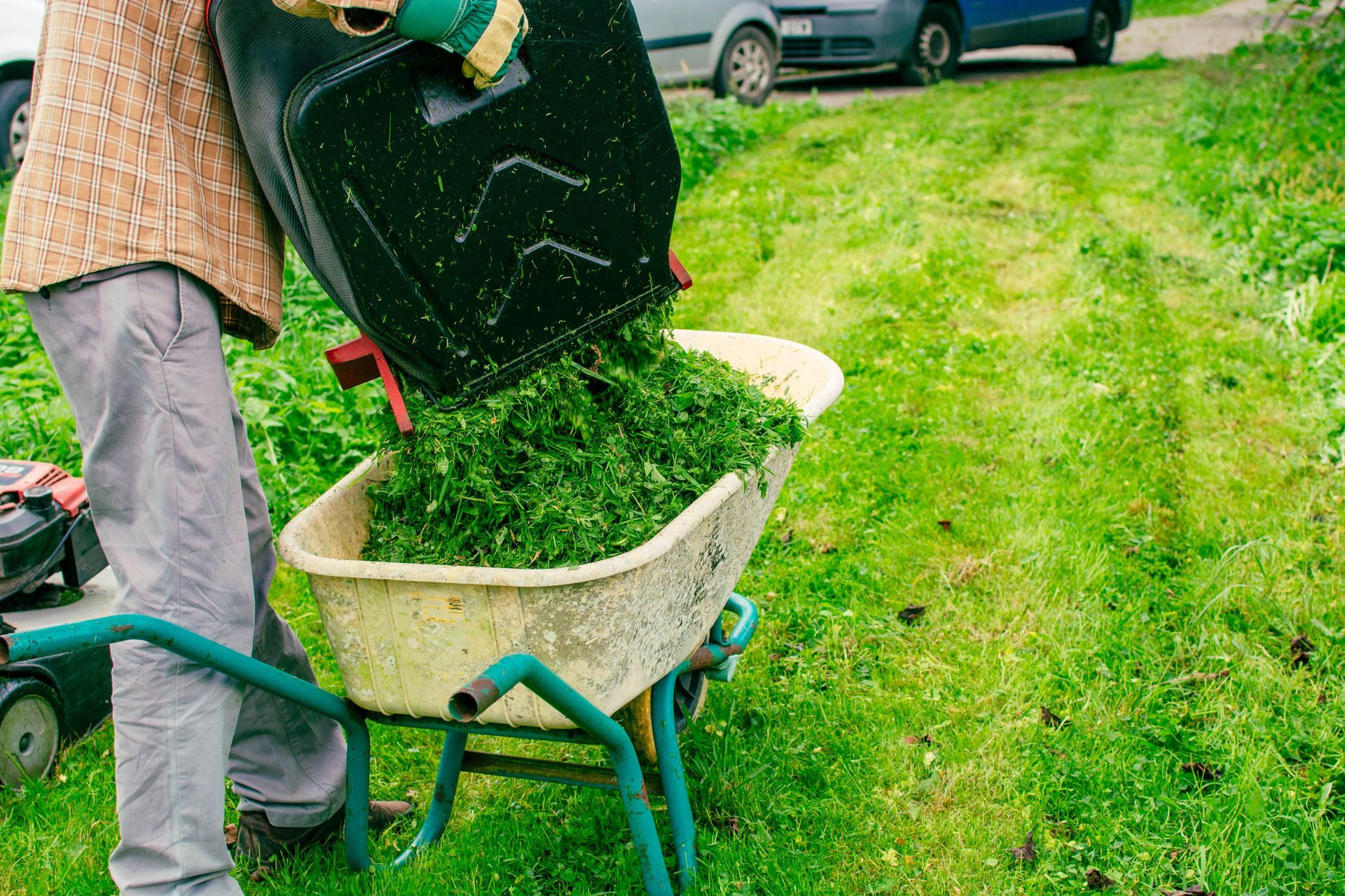 Person dumping lawnmower clippings into wheelbarrow on grassy path.