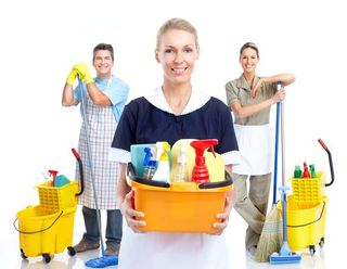 Team of cleaning professionals