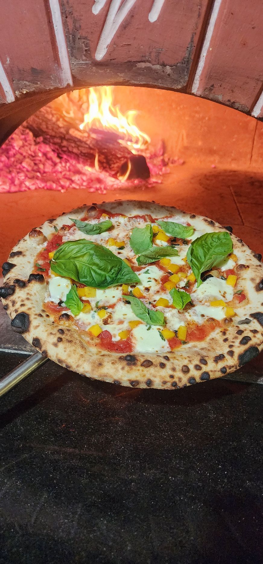 a neapolitan style pizza with basil and butternut squash held in front of a wood burning oven 