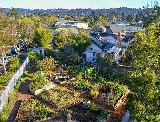 Berkeley EcoHouse