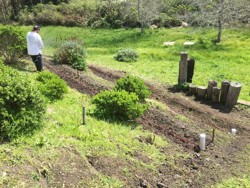 Nick's Cove Tomales Bay