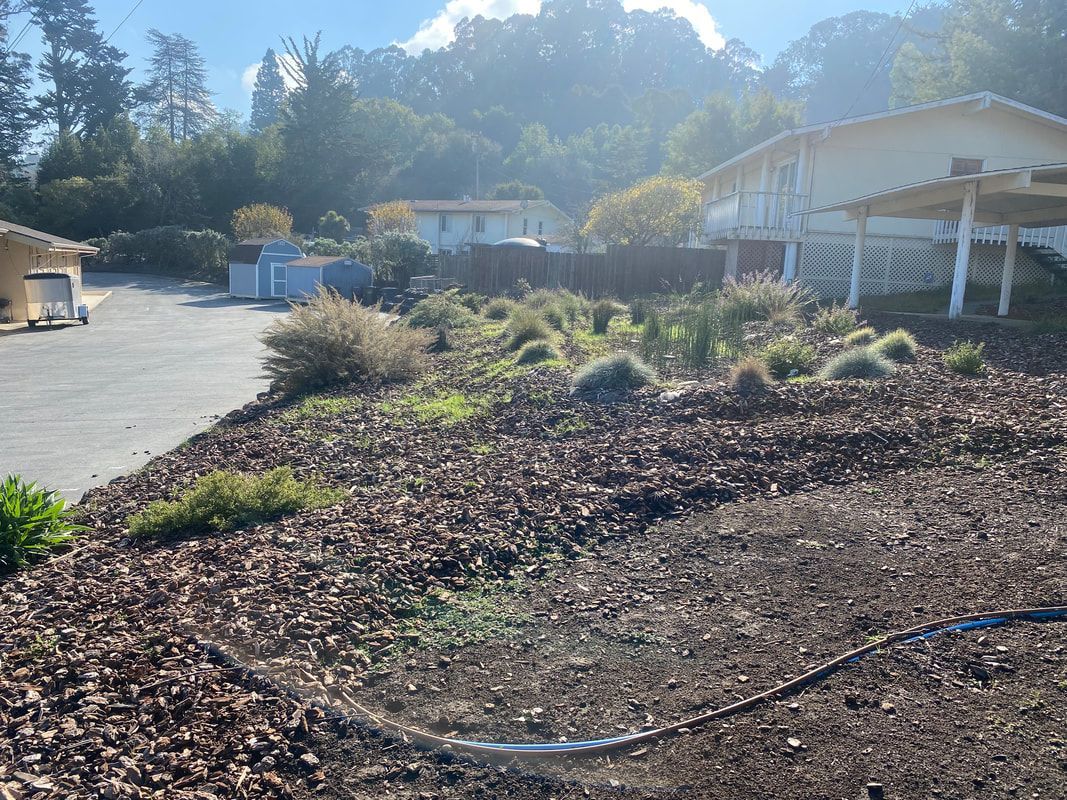 The People's Plan for Community Growth