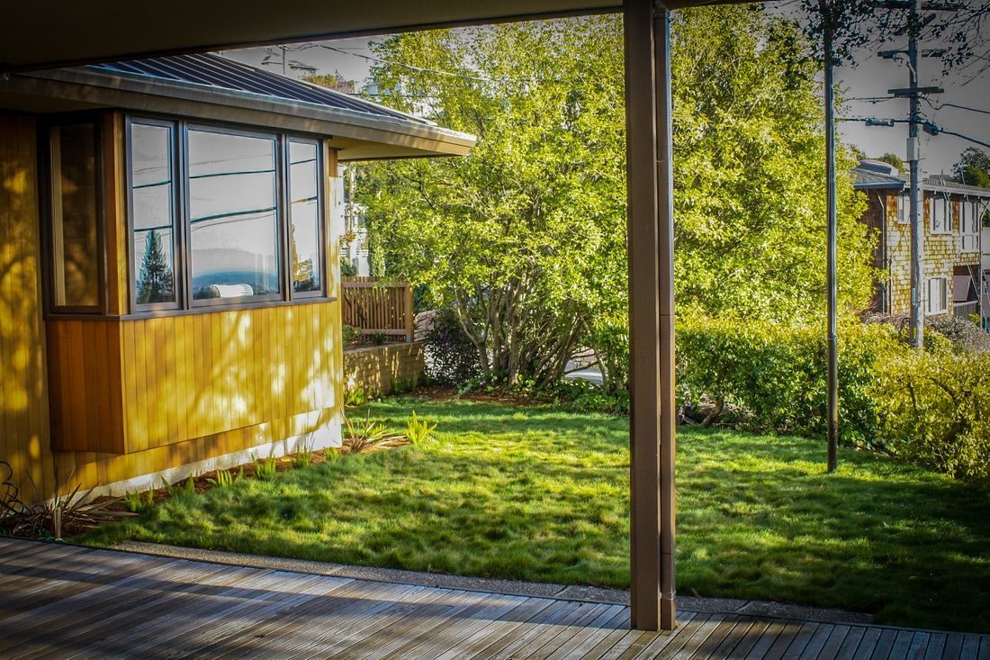 Meadow irrigated by greywater