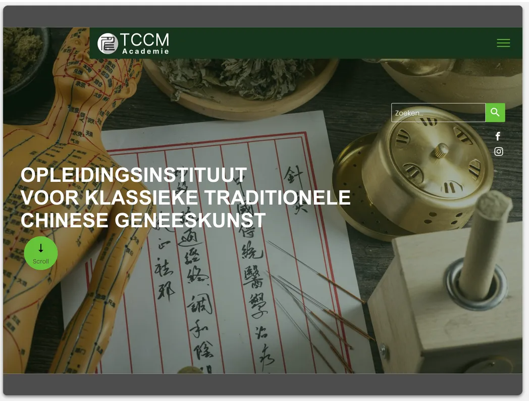 Nieuwe website laten maken Maastricht