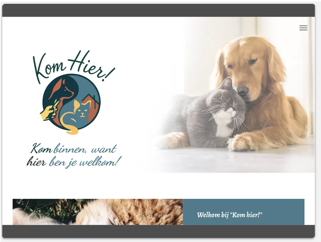 Nieuwe website laten maken Maastricht