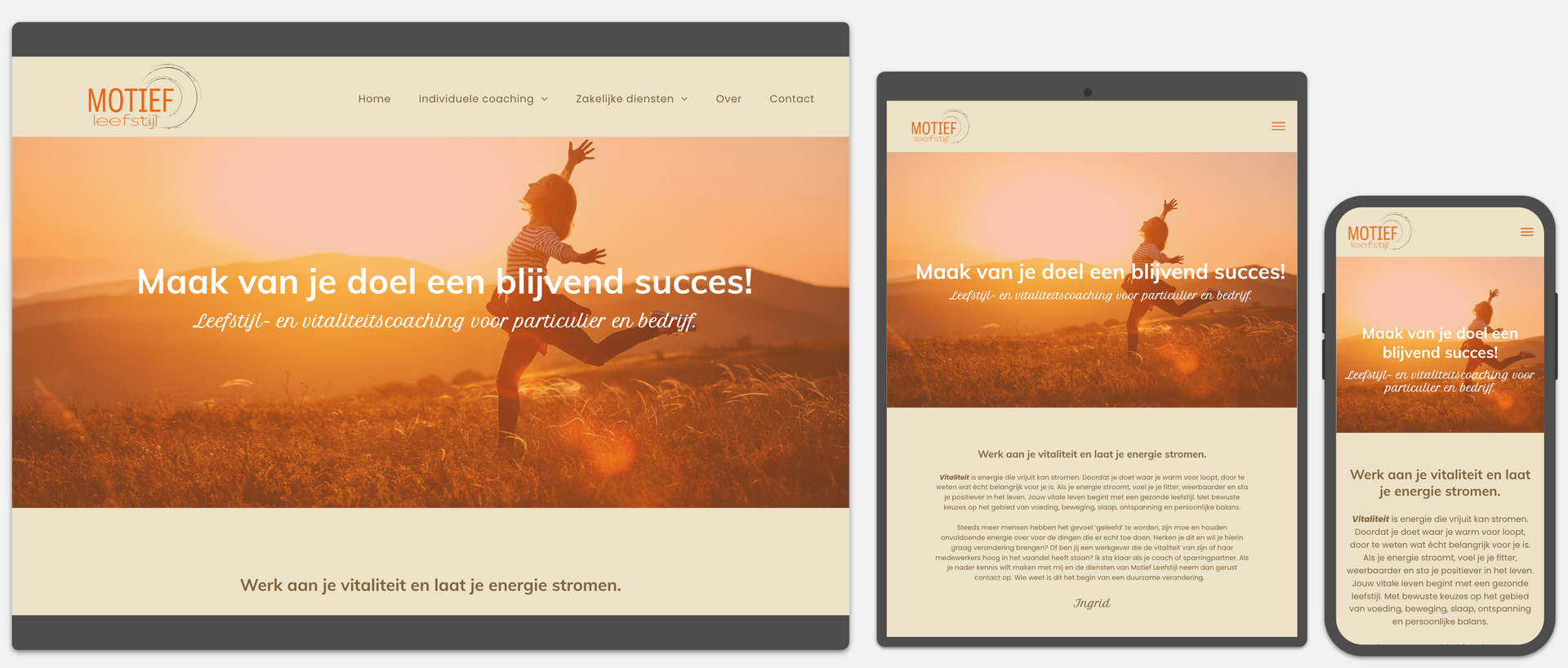 Webvizi Webdesign Lanaken, Maastricht